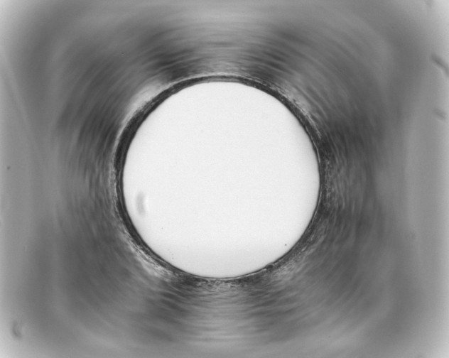 X0000098141072200805081015
