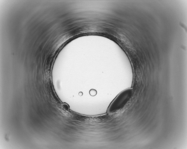X0000098141073200805081015