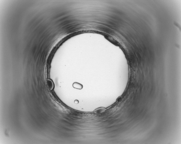 X0000098141076200805081015