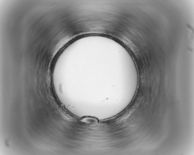 X0000098141077200805081015