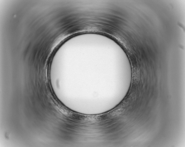 X0000098141078200805081015