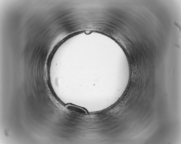 X0000098141080200805081015