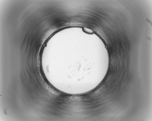 X0000098141082200805081015