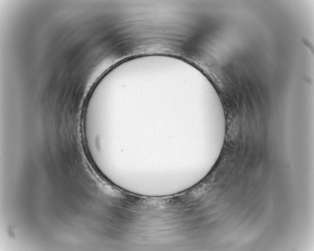 X0000098141086200805081015