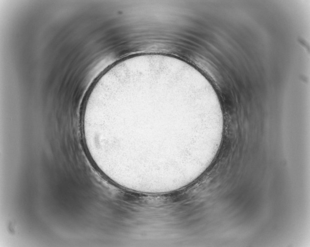 X0000098141087200805081015