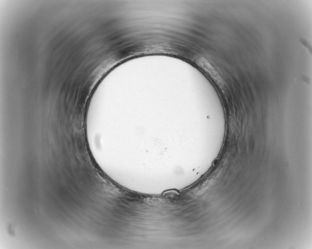 X0000098141089200805081014