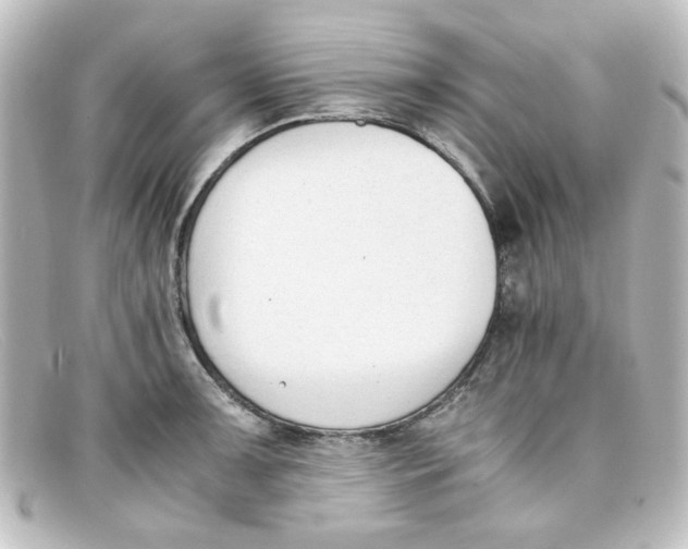 X0000098141091200805081014