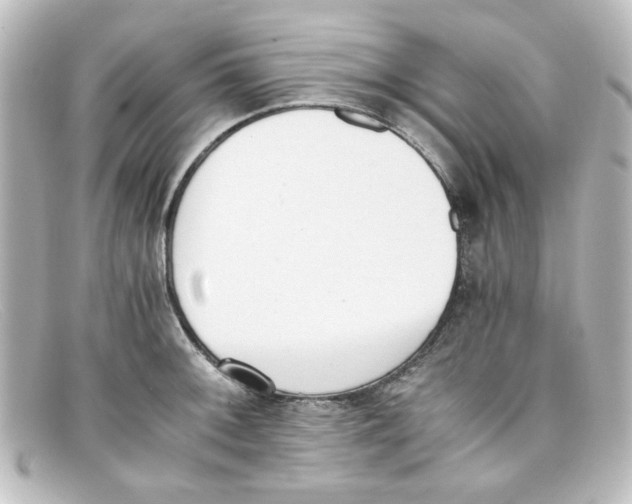X0000098141092200805081014