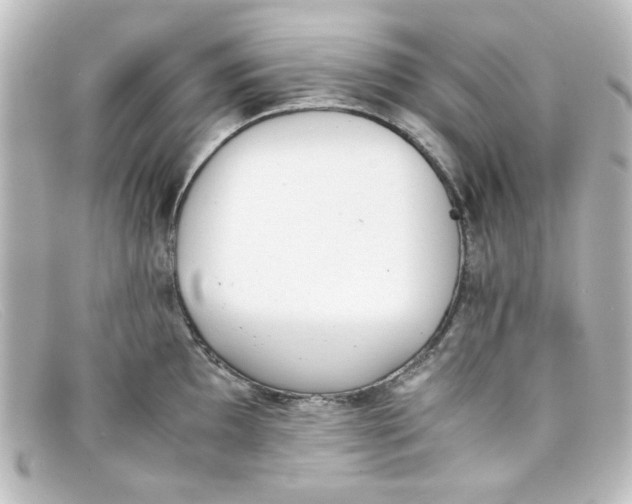 X0000098141097200805081014