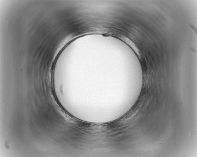 X0000098141099200805081014
