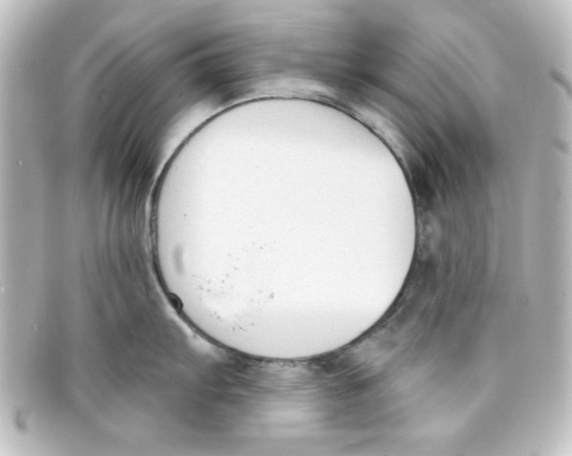 X0000098141103200805081014