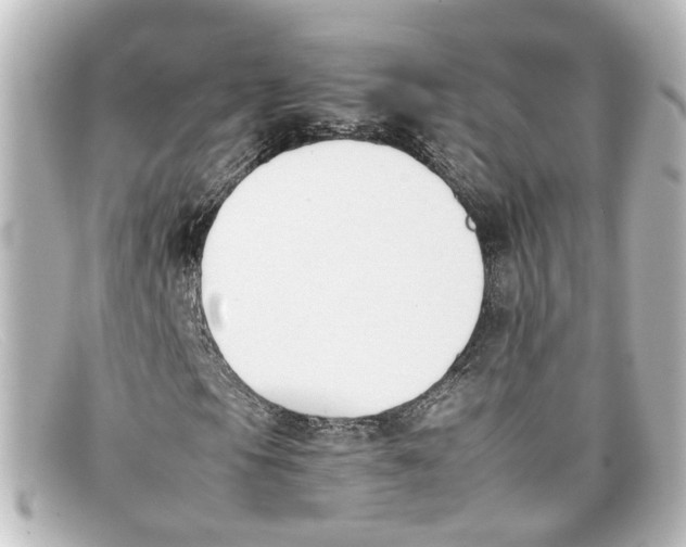 X0000098141105200805081014