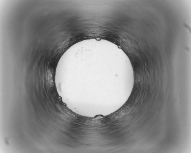 X0000098141106200805081014