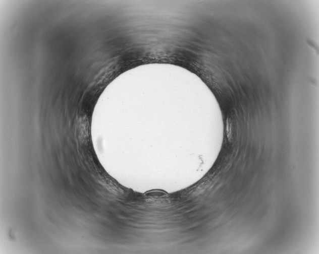 X0000098141107200805081014