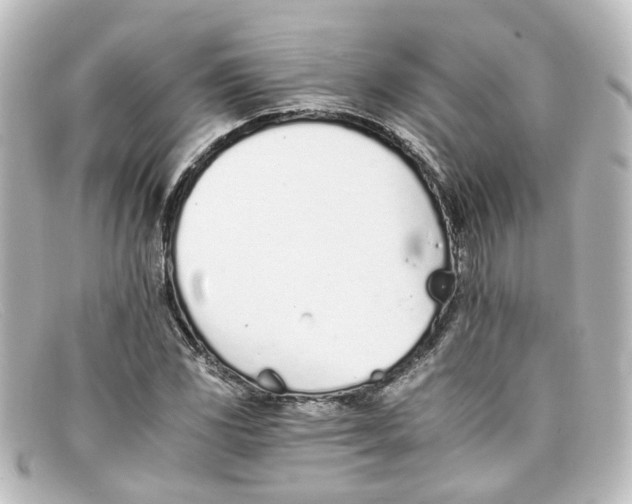 X0000098141117200805081014