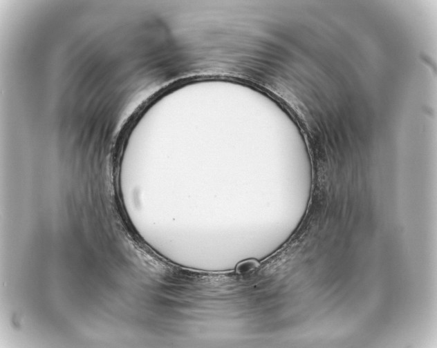 X0000098141120200805081014