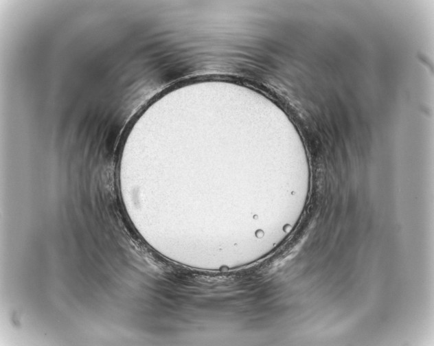 X0000098141121200805081014