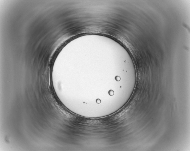 X0000098141123200805081014