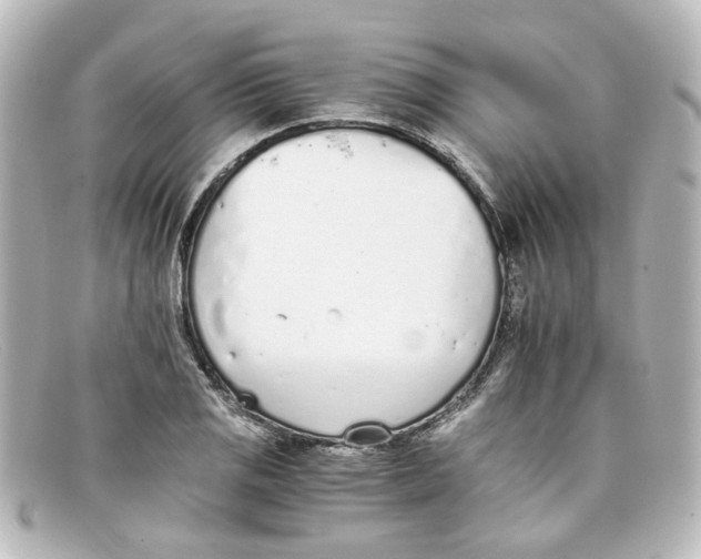 X0000098141125200805081014