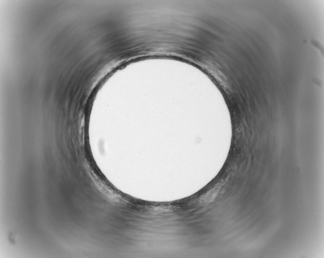 X0000098141126200805081014