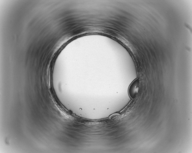 X0000098141127200805081014
