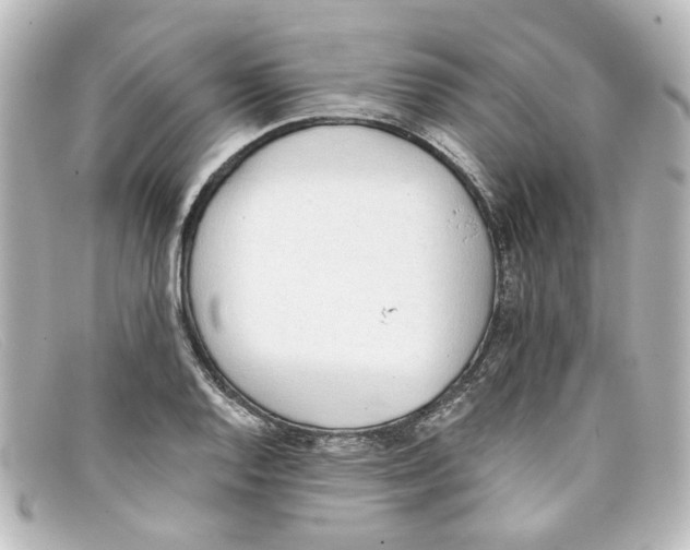 X0000098141128200805081014