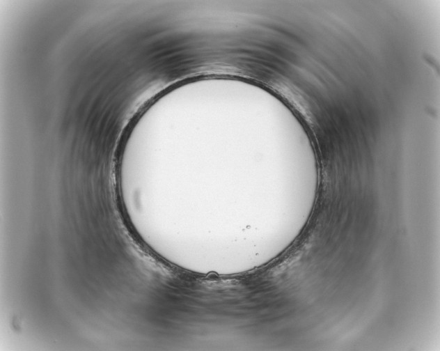 X0000098141133200805081014