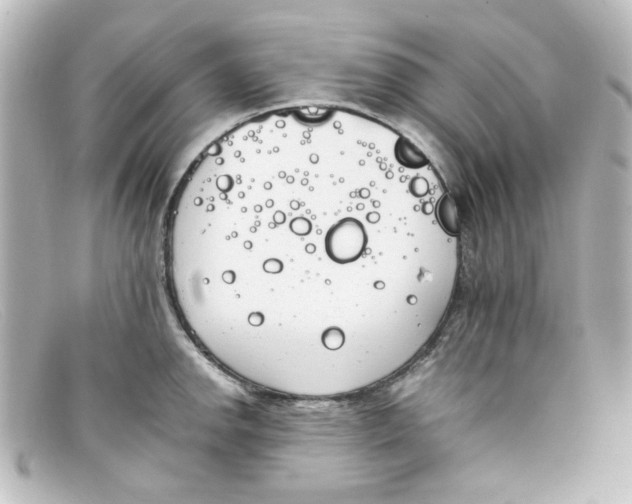 X0000098141142200805081014