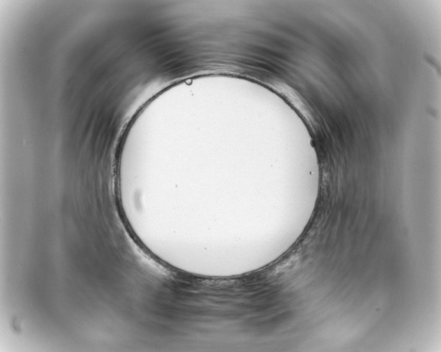 X0000098141143200805081014