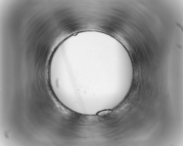 X0000098141144200805081014