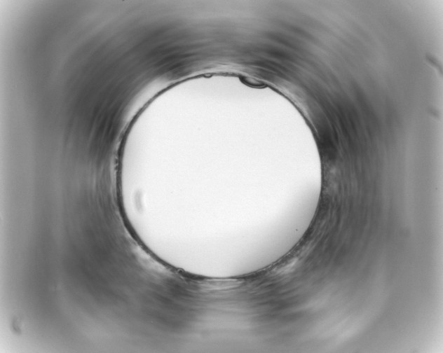 X0000098141151200805081014
