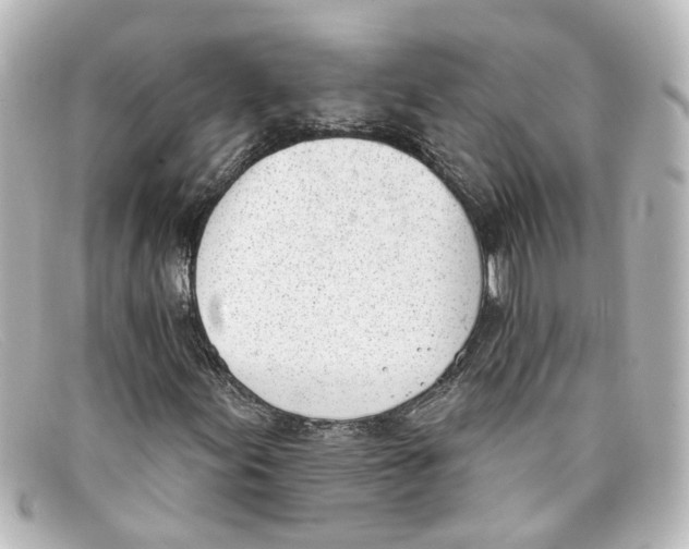X0000098141155200805081014
