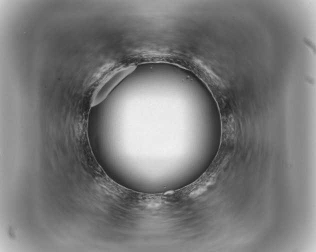 X0000098141157200805081013