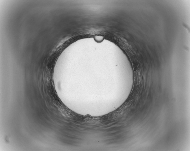 X0000098141158200805081013