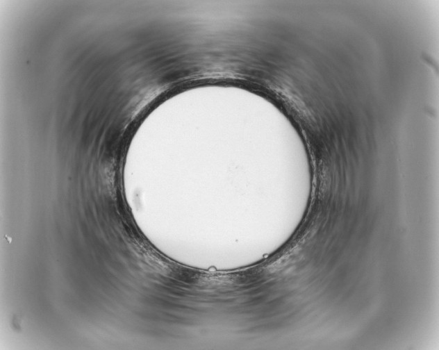 X0000098141162200805081013