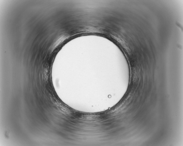 X0000098141163200805081013