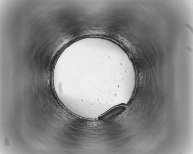 X0000098141165200805081013