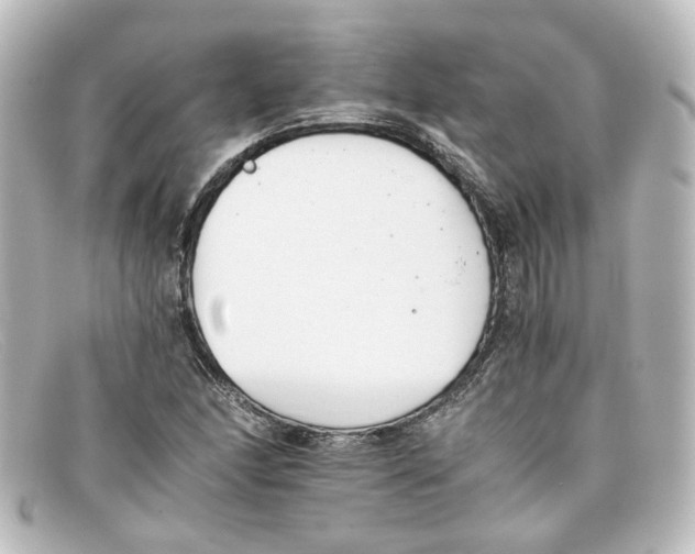 X0000098141166200805081013