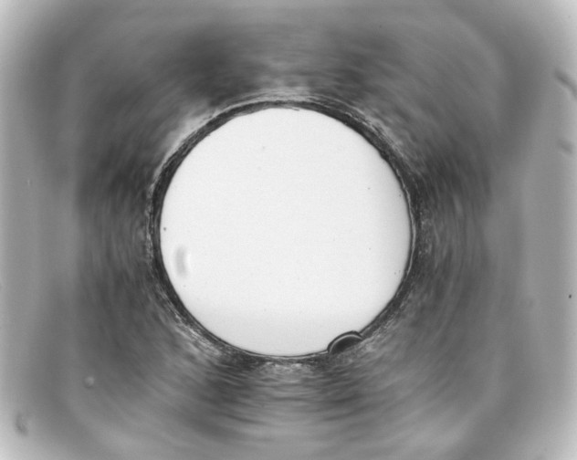 X0000098141168200805081013
