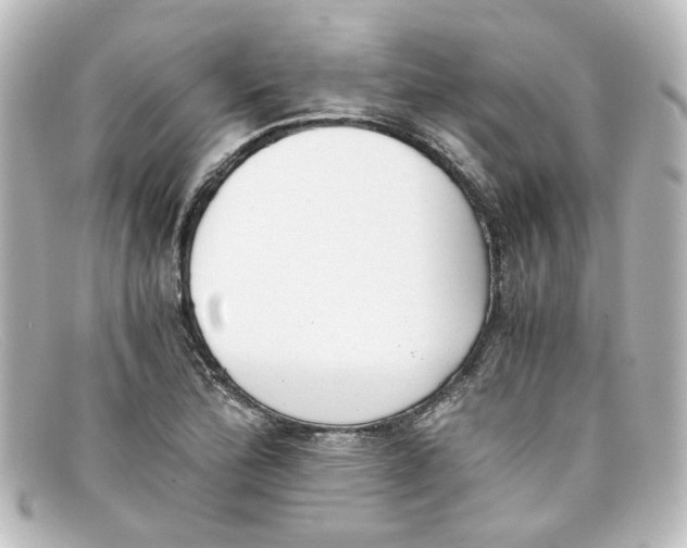 X0000098141172200805081013