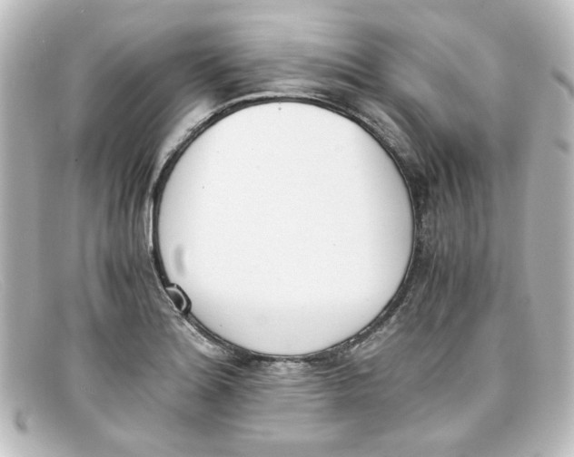 X0000098141180200805081013