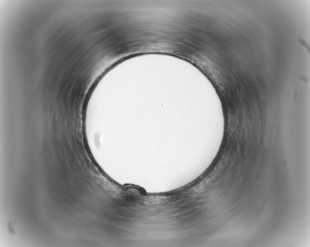 X0000098141184200805081013