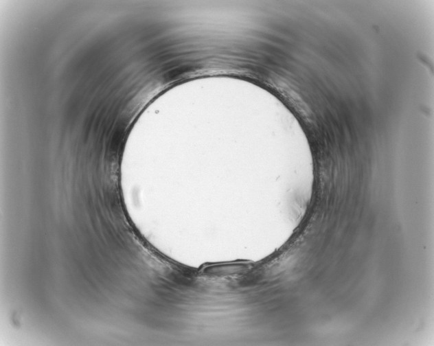 X0000098141185200805081013