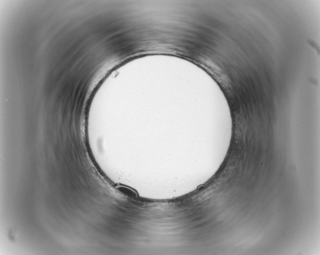 X0000098141188200805081013