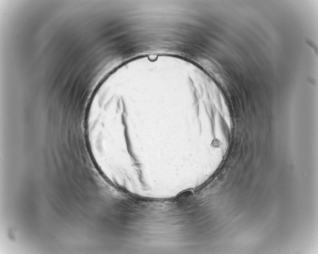 X0000098141189200805081013