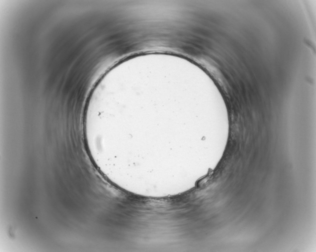 X0000098141191200805081013