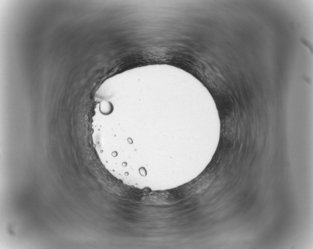 X0000098141201200805081012
