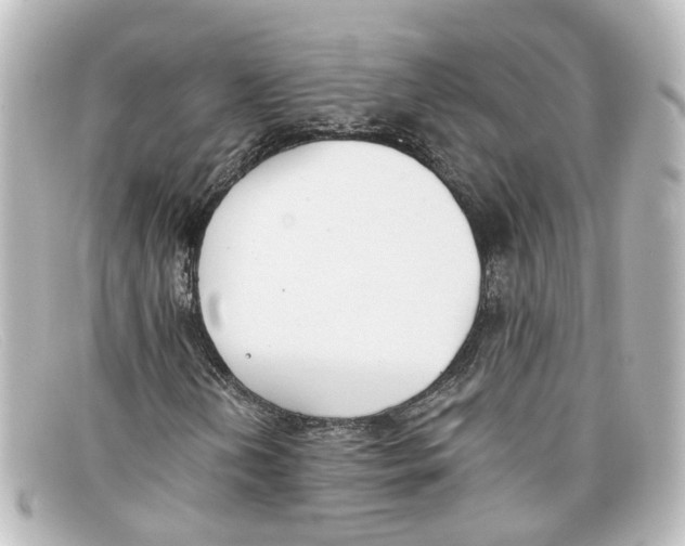 X0000098141202200805081012