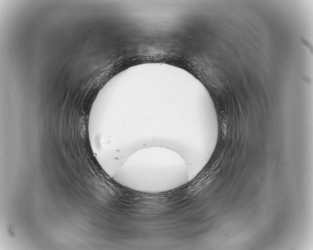 X0000098141204200805081012