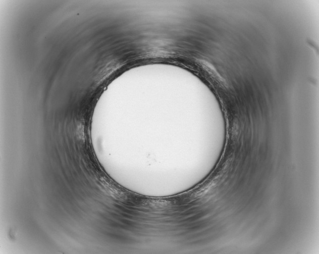 X0000098141209200805081012